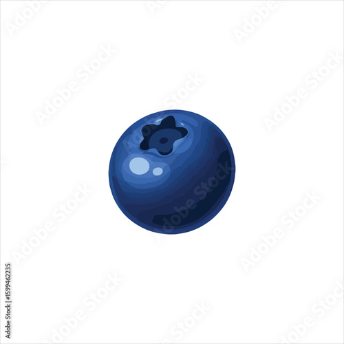 Single ripe blueberry isolated on white background