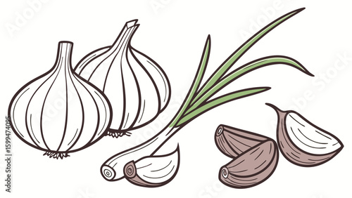A drawing of garlic bulbs and cloves with herbs and small white flowers on a white background art