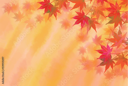 紅葉　もみじ　秋　背景	
