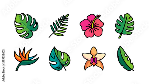 Assortment of tropical flora featuring hibiscus, monstera, and bird of paradise illustrations isolated