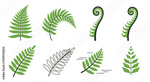 Fern Fronds: Botanical Vector Set for Design