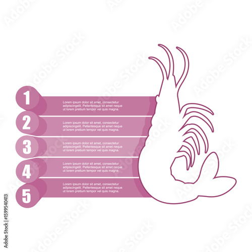 Large prawn shrimp with five features or option of project to select. Minimal infographic illustration for business and food production information visualization. Healthy seafood concept