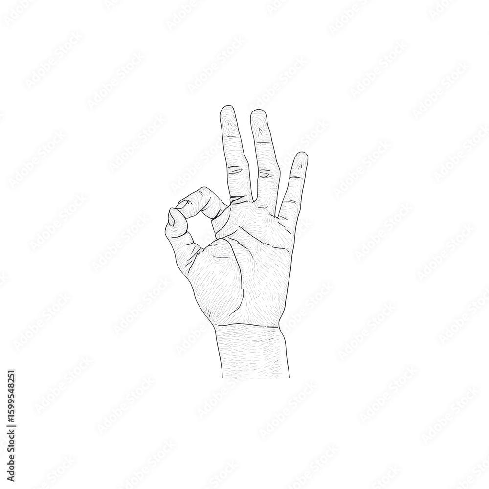 Fototapeta premium Hand Gesturing OK Sign - Minimalist Line Art