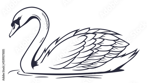 Elegant Line Art Illustration of a Graceful Swan.