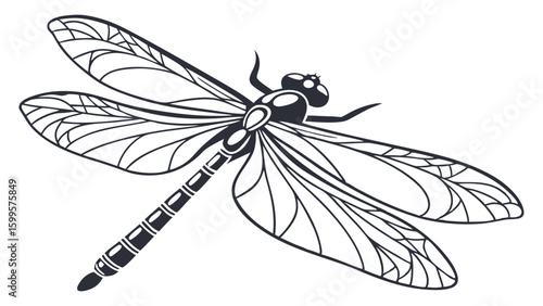 Stylized Dragonfly Illustration with Detailed Wing Veins and Segmented Body.