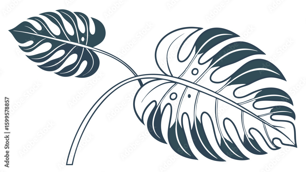 Obraz premium Stylized Monstera Leaves with Cutouts and Veins Dark Teal Color.