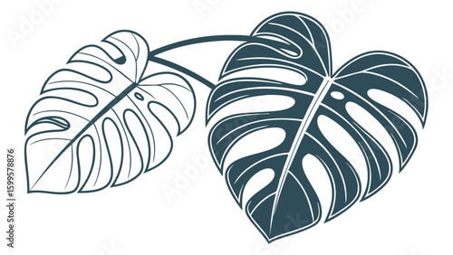 Stylized Monstera Deliciosa Leaves with Intricate Vein Details.