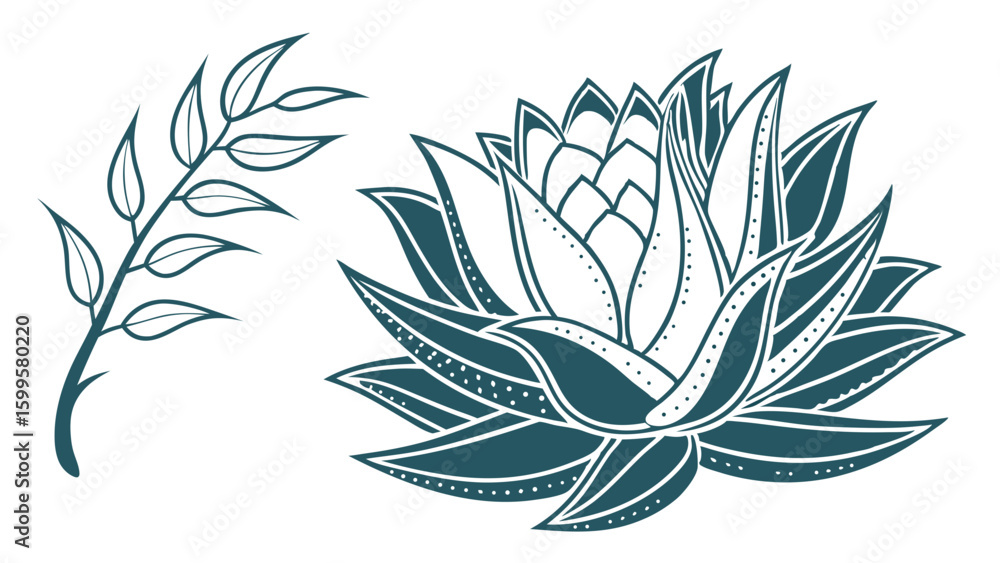 Fototapeta premium Teal Line Art Botanical Illustration Succulent and Branch.