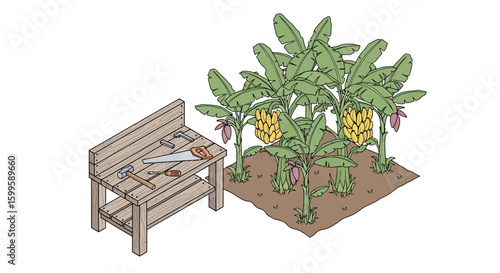 banana plant with banana bunch and garden tools on wooden bench