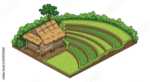 traditional rural farm with terraced rice paddies and thatched hut