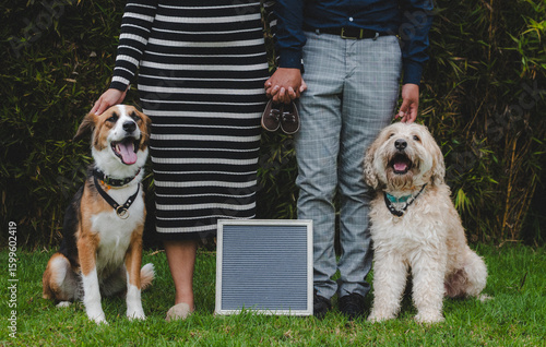 A Growing Family with Furry Friends