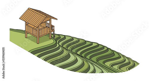 wooden viewing platform on terraced hillside