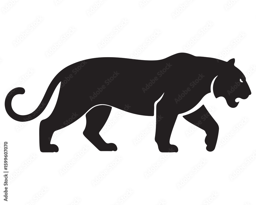 Fototapeta premium Silhouette of a tiger