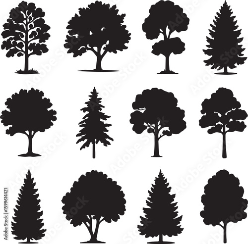 Diverse deciduous and coniferous tree silhouettes trees nature