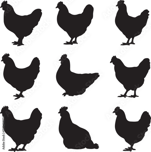 Black chicken silhouettes standing and sitting poultry fowl