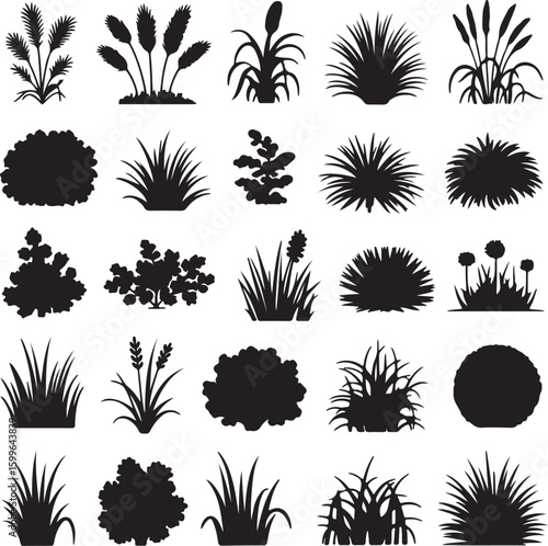 Diverse plant silhouettes including grasses reeds and bushes plants