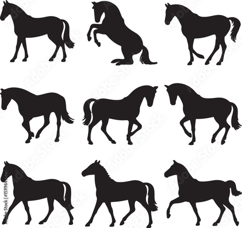 Equine forms in motion and repose horse silhouette
