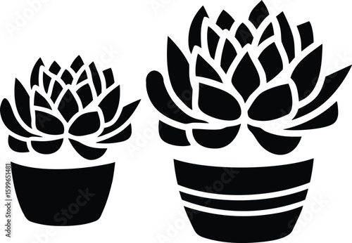 Black and White Vector of Potted Succulent Plants