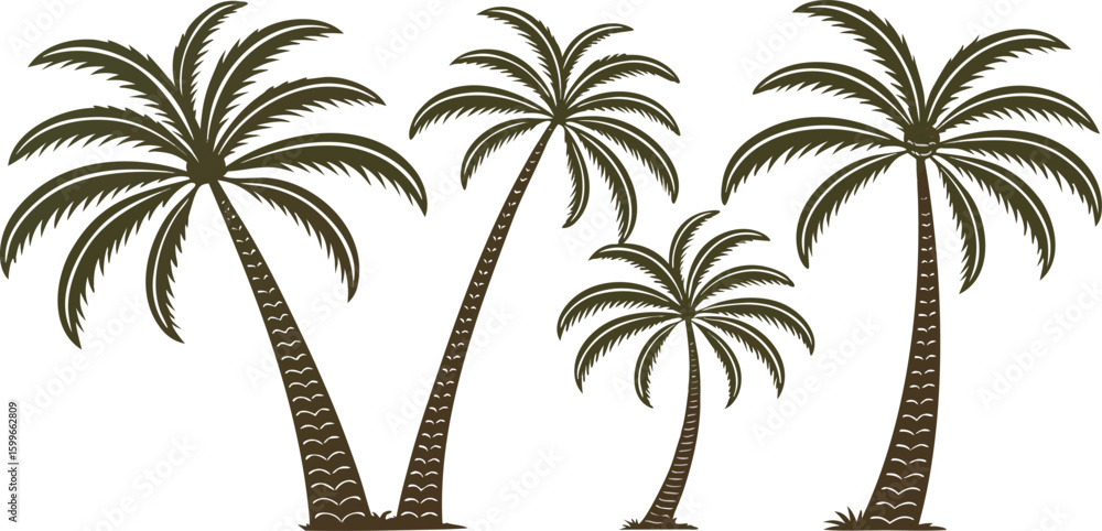 Fototapeta premium a-collection-of-six-stylized-palm-trees--each-pres.eps