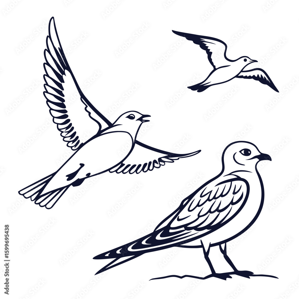 Fototapeta premium Three Dark Blue Birds Hand Drawn Vector Illustration White Background