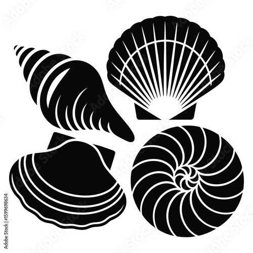 Black silhouette collection of four different seashells on white background conch scallop