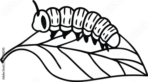 Caterpillar on Leaf Clip art, Black and White Insect Vector Illustration.