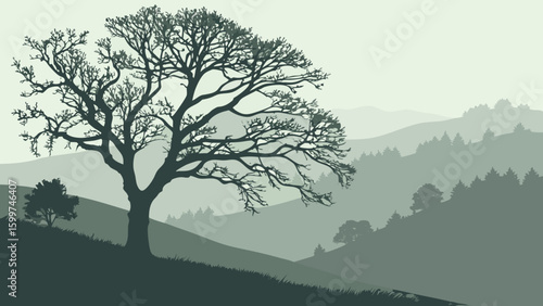 Silhouette of a large tree on a hillside with distant misty mountains in a muted color landscape view