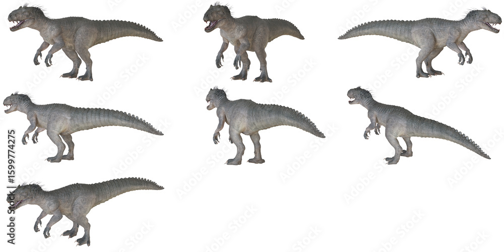 Naklejka premium Various poses of a fearsome dinosaur on white background