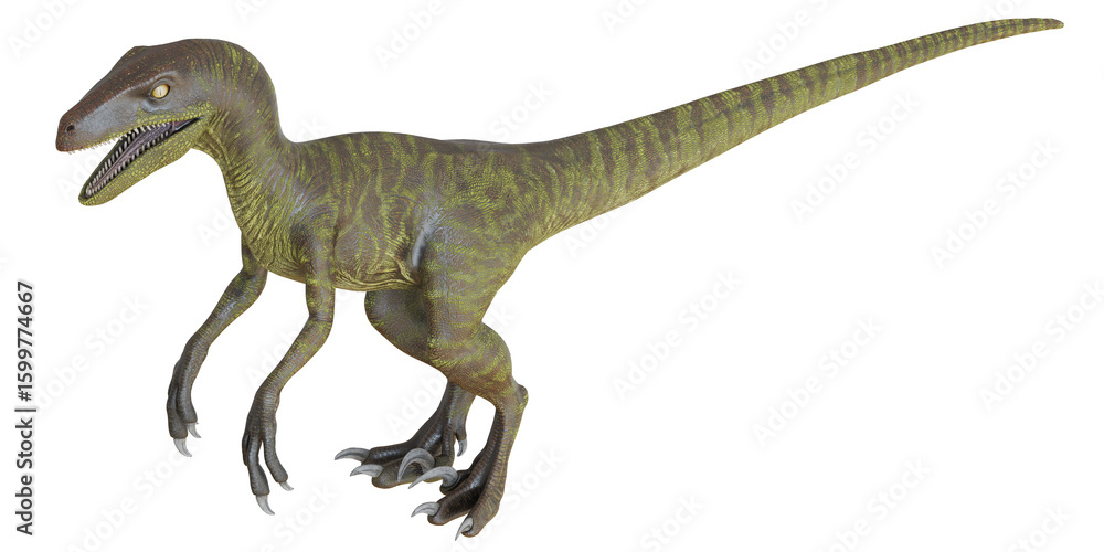 Fototapeta premium Velociraptor dinosaur on white background
