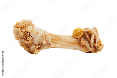 a bone with a piece of chicken on it