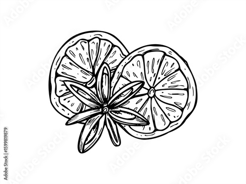 Dried orange slices, star anise vector monochrome illustration painted by black inks. Winter aromatic fruits graphic sketch for Christmas packaging, holiday recipe, winter home decor