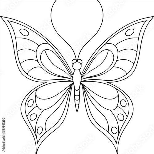 butterfly on isolate background 