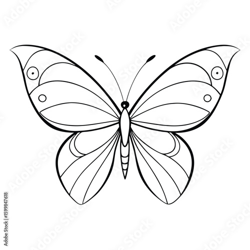 butterfly on isolate background 