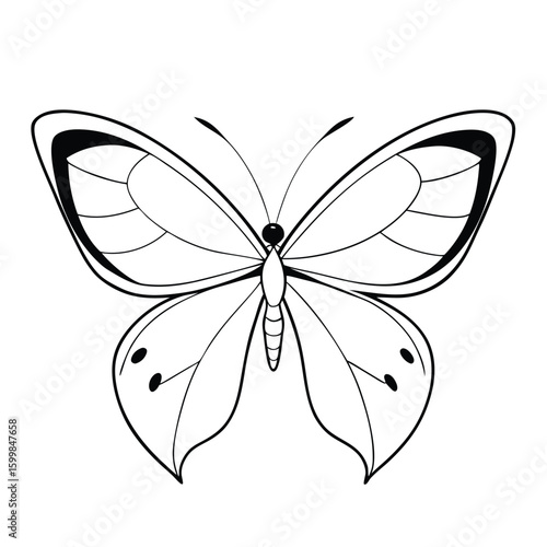 butterfly on isolate background 