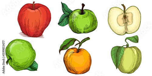 Fresh apple isolated vegetarian healthy food sketch. Vector fruit, juicy healthy dessert. Apple On White Background