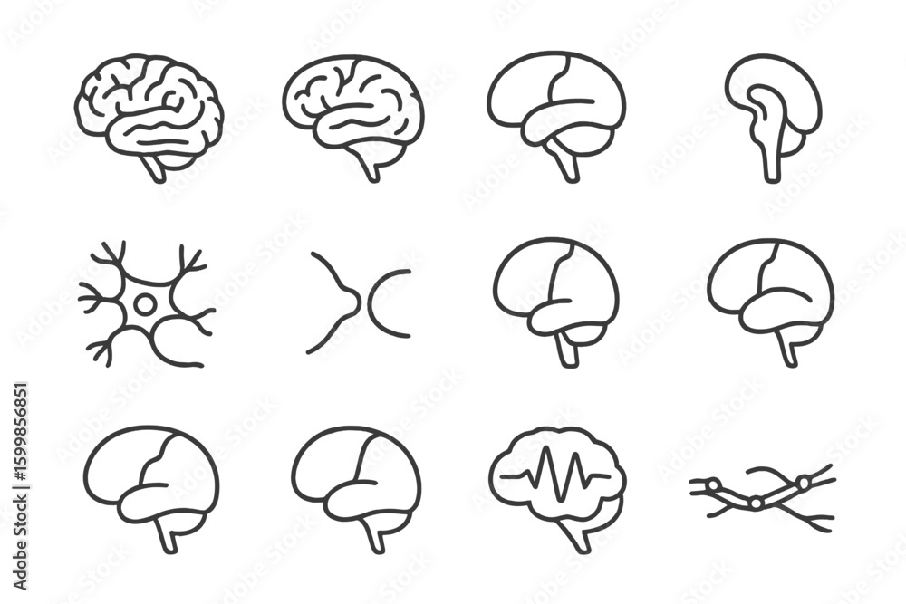 Obraz premium Brain and neuron icon set on gray background for medical illustration