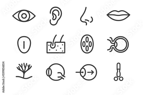 Black and gray minimalist icons representing human senses and cellular structures