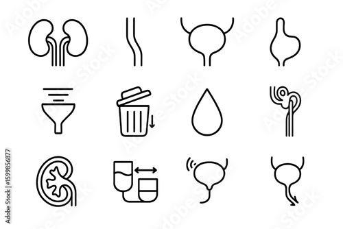 Medical icons set representing kidneys, bladder, and urinary system functions