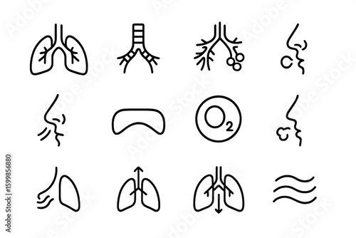Respiratory system icons: lungs, trachea, nose, oxygen, breathing