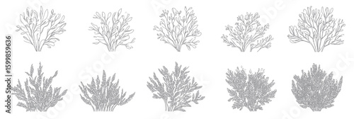 Set of ten different bush and grass shrub line art vector illustrations with detailed fine lines on white background in minimalist style for nature design elements