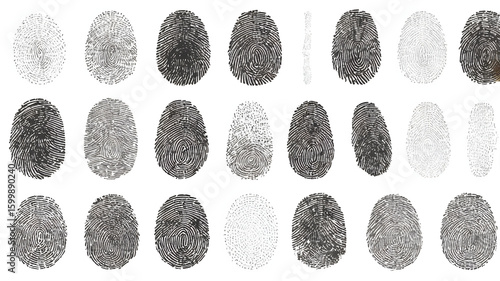  Fingerprint identification symbol background image. Set of fingerprint on white background.