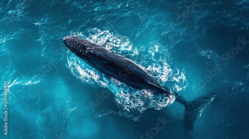 Majestic whale swimming gracefully in deep blue ocean water under sunlight.
