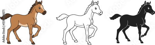 Cute foal horse illustration vector drawing of young horse different styles for kids and educational use vector