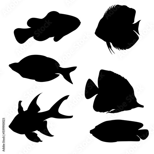 Collection of six diverse freshwater fish silhouettes, showcasing various shapes and sizes.