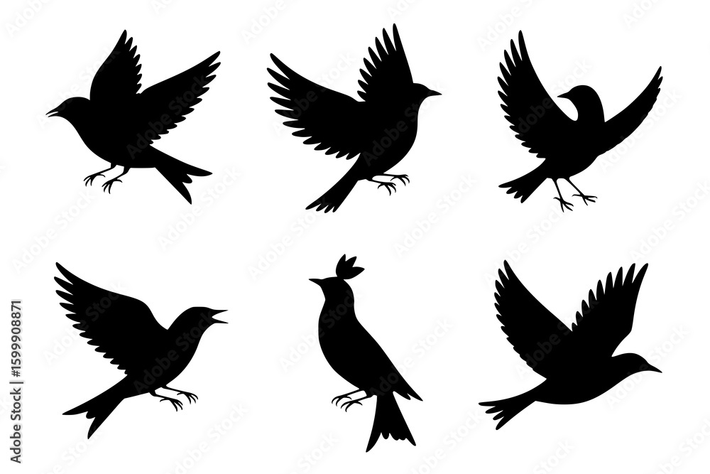 Obraz premium Six Bird Silhouettes: A collection of elegant black and white bird silhouettes in various flight poses, showcasing their graceful forms against a white background.