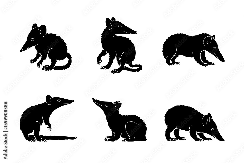Fototapeta premium Solenodon Silhouette Set: A collection of six monochrome line art illustrations showcasing solenodons in various playful poses, ideal for design or editorial use.