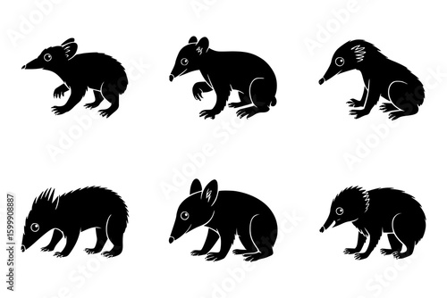 Six Adorable Solenodon Silhouettes: A charming set of monochrome line art illustrations depicts six playful solenodons in various poses, showcasing their unique features against a white background.