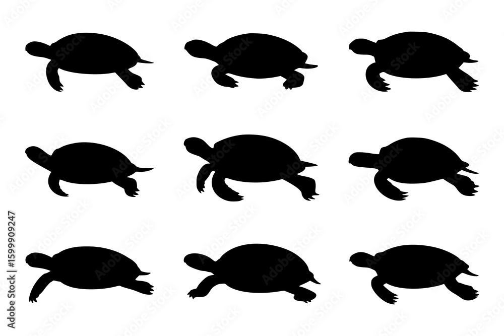 Obraz premium Nine Turtle Silhouettes: A set of simple black and white vector illustrations depicting turtles in various poses, perfect for design projects.