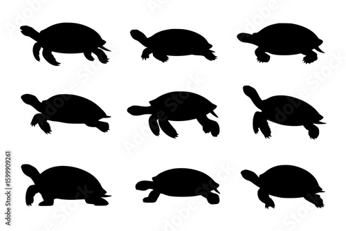 Nine Tortoise Silhouettes: A collection of simple, black and white vector illustrations depicting tortoises in various walking positions, ideal for design and commercial use.