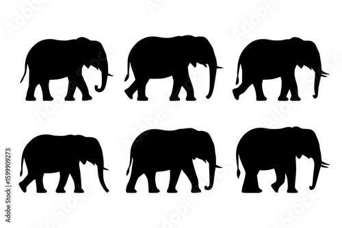 Elephant Silhouette Sequence: A set of six elegant black and white vector illustrations showcasing an elephant's walking gait, perfect for animation or design.